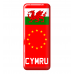 3D Domed Gel Resin CYMRU Number Plate Sticker Decal Badge with Flag EU Euro Stars