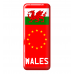 3D Domed Gel Resin GB ENG SCOTLAND WALES CYMRU Number Plate Sticker Decal Badge with Flag EU Euro Stars Wholesale