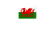 WALES Flag